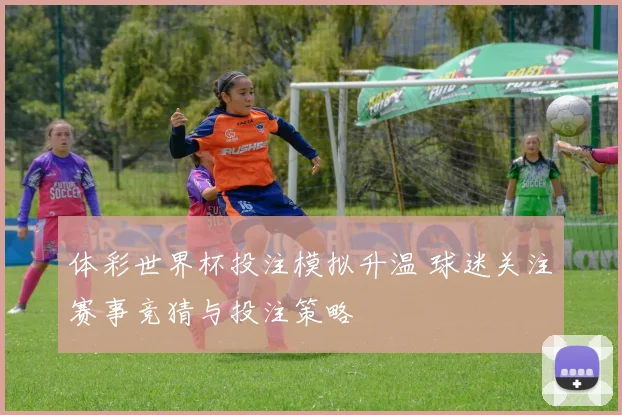 体彩世界杯投注模拟升温 球迷关注赛事竞猜与投注策略